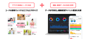 Beatfit参考